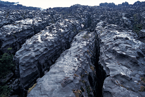 23B_NATUREZA_F08.jpg
