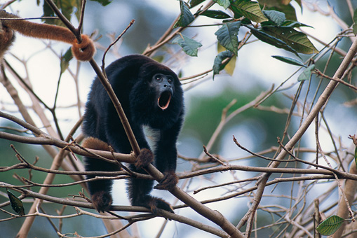 26A_NATUREZA_F08.jpg