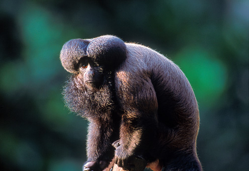 26B_NATUREZA_F08.jpg