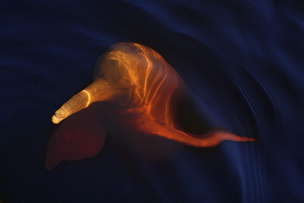 am_cbc_d020095.jpg
