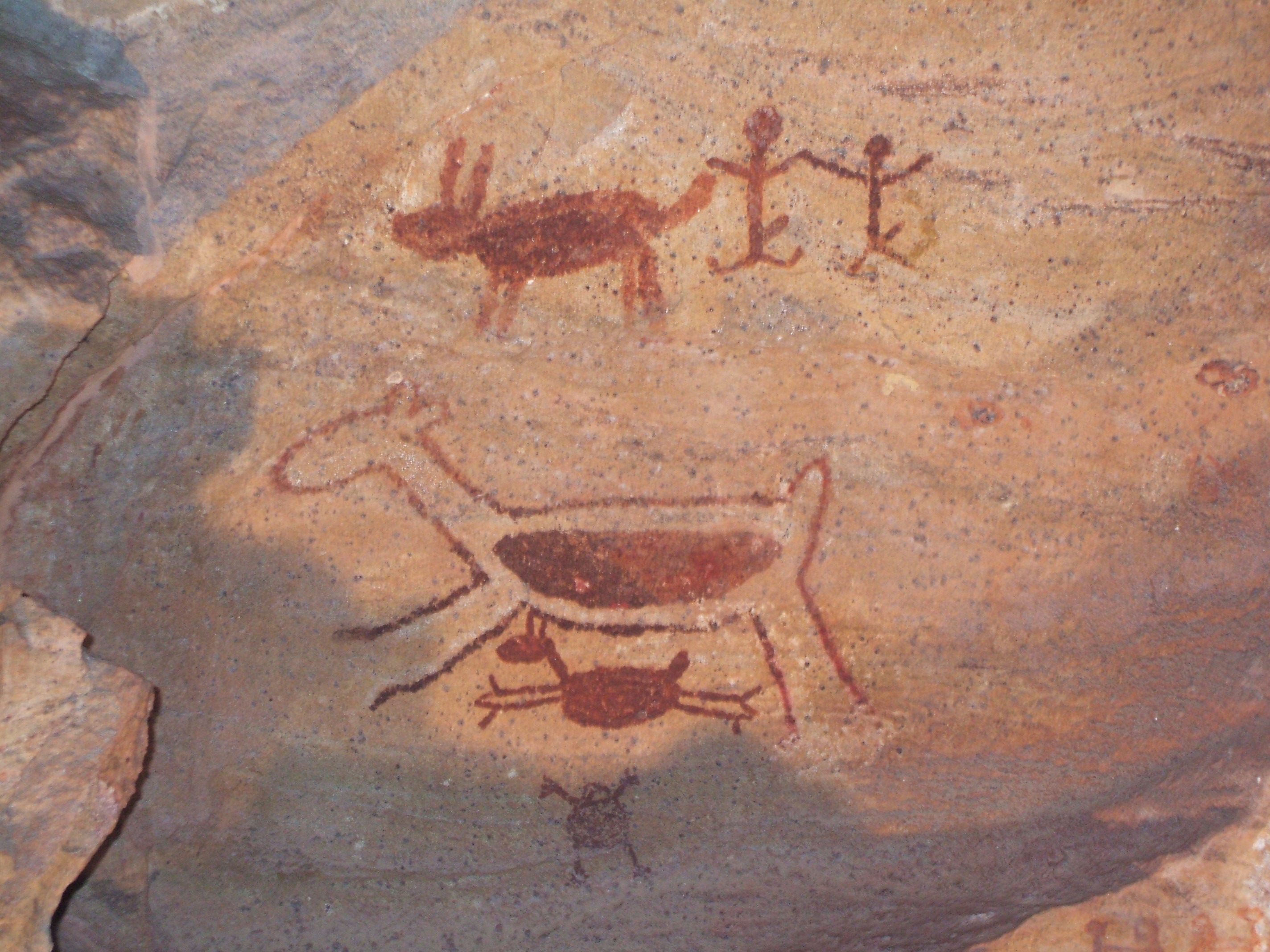 DSCF4848.JPG