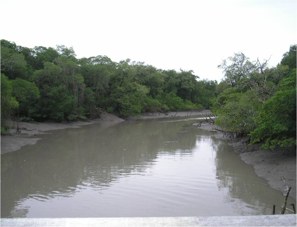 Acesso ao Rio Caete.jpg