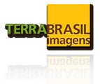 Terra brasil.gif