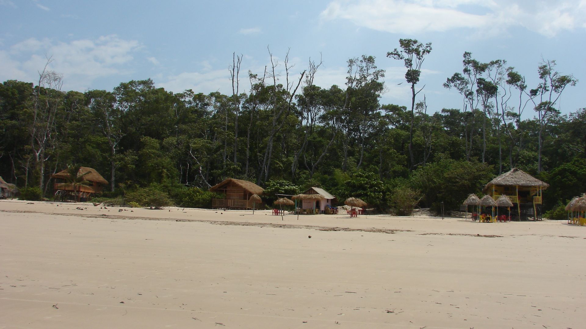 DSC02560.jpg