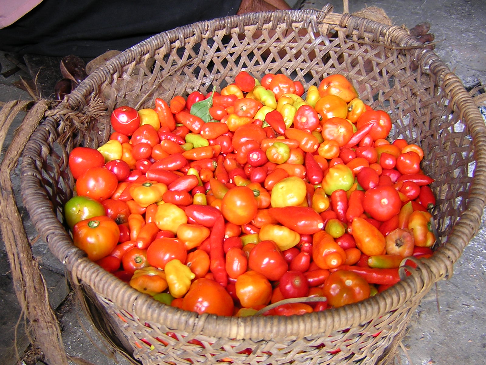 pimenta.JPG