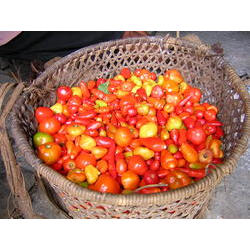 pimenta.JPG