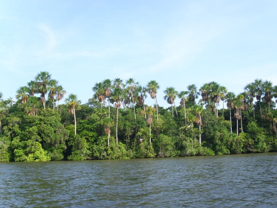 BAIA DE CAXIUANA_FLORESTA NACIONAL DE CAXIUANA.JPG
