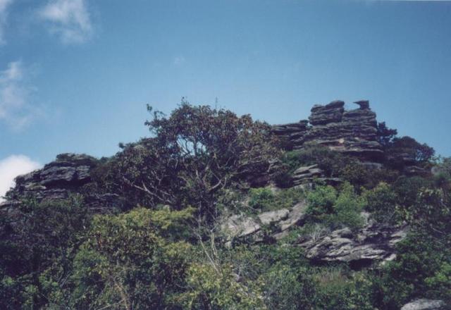 monte-alegre10