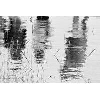 Expedição fotográfica nos mananciais