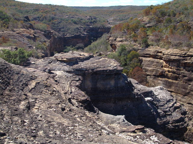 Parna Capivara1_MicheleDechoum