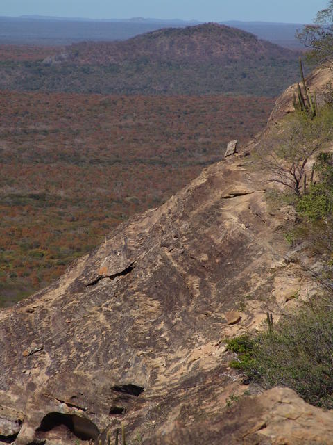 Parna Capivara2_MicheleDechoum