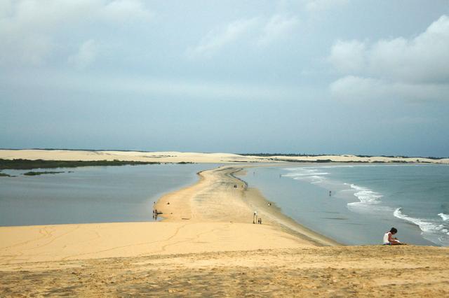 DSC02701