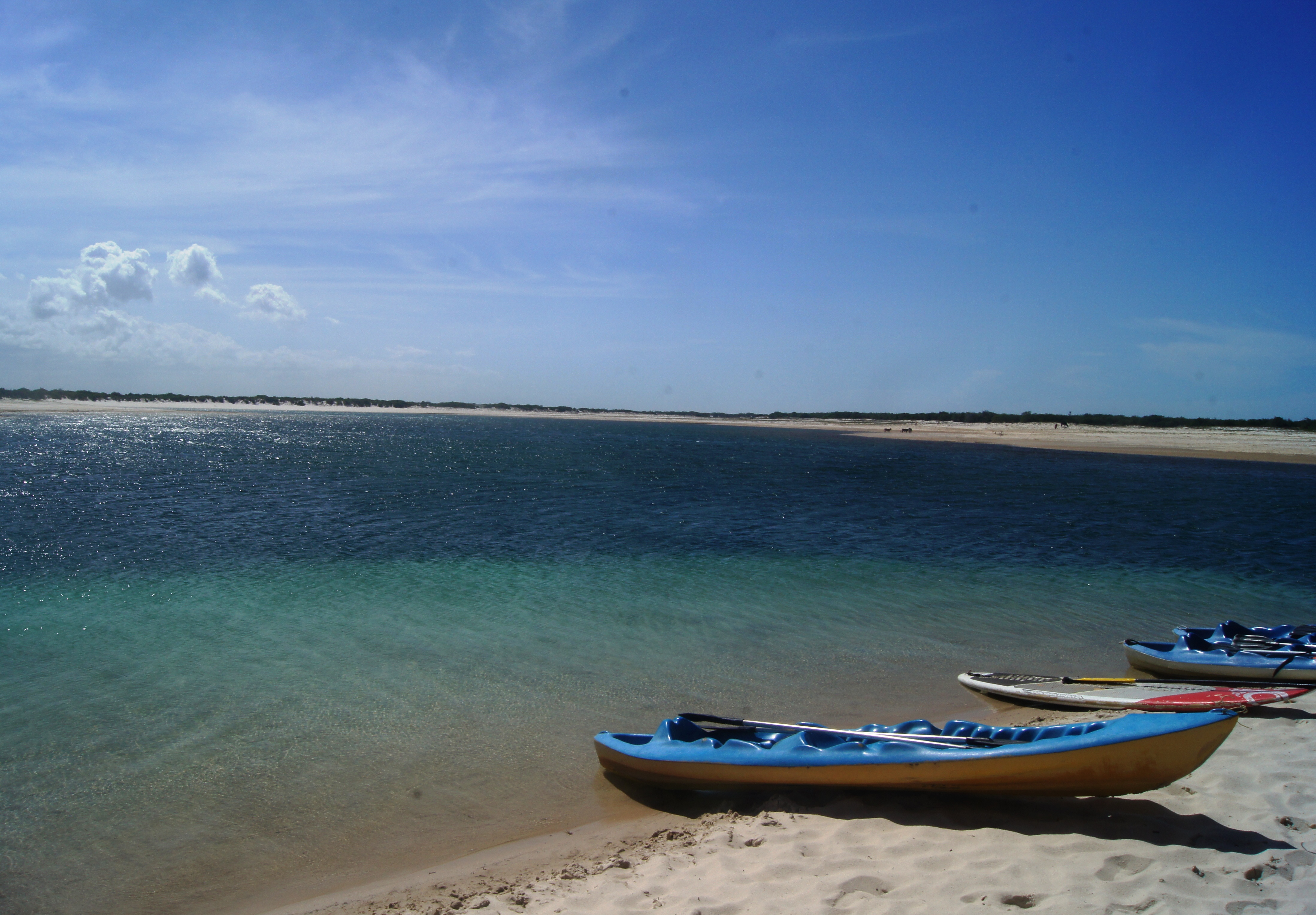 DSC02906