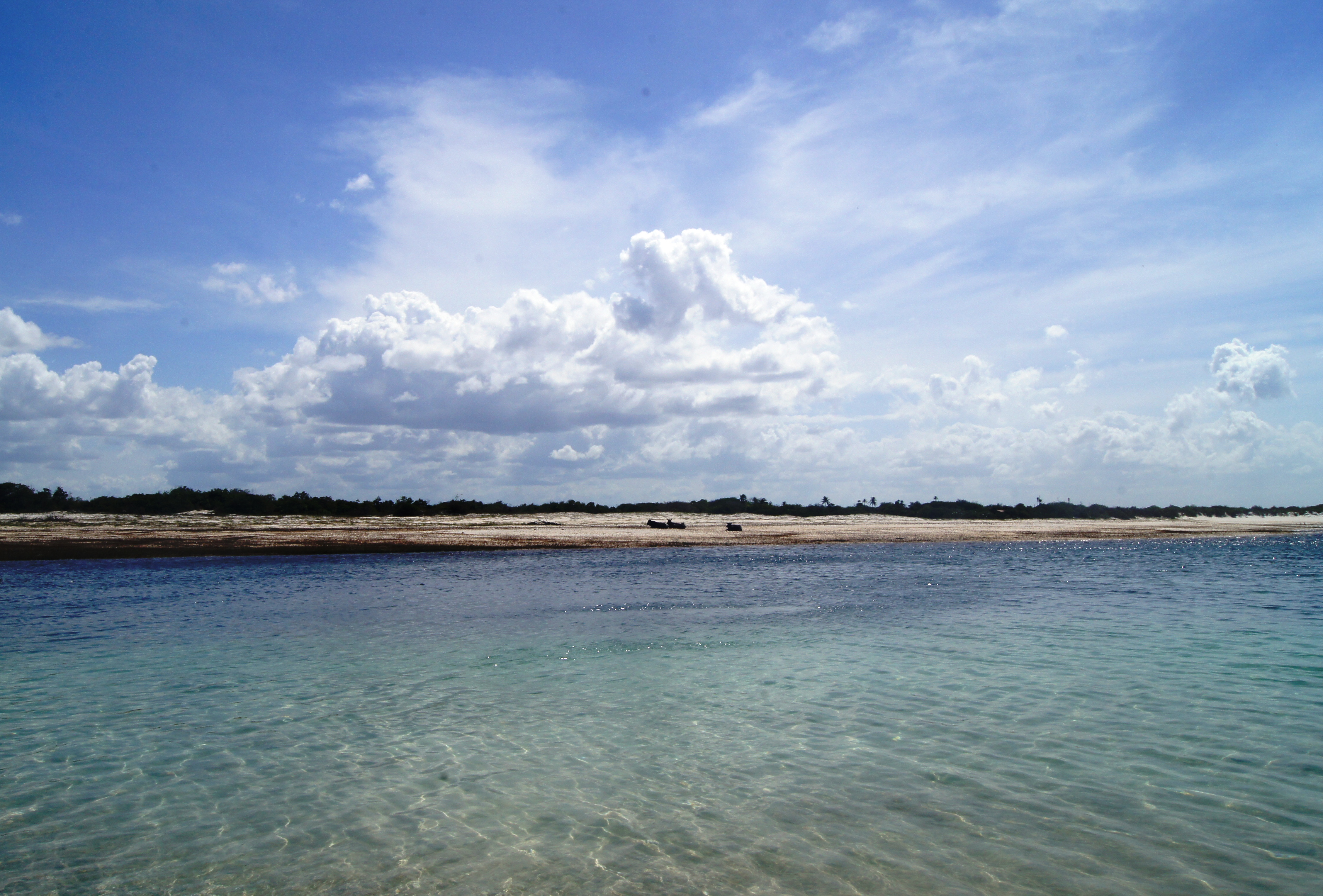 DSC02910