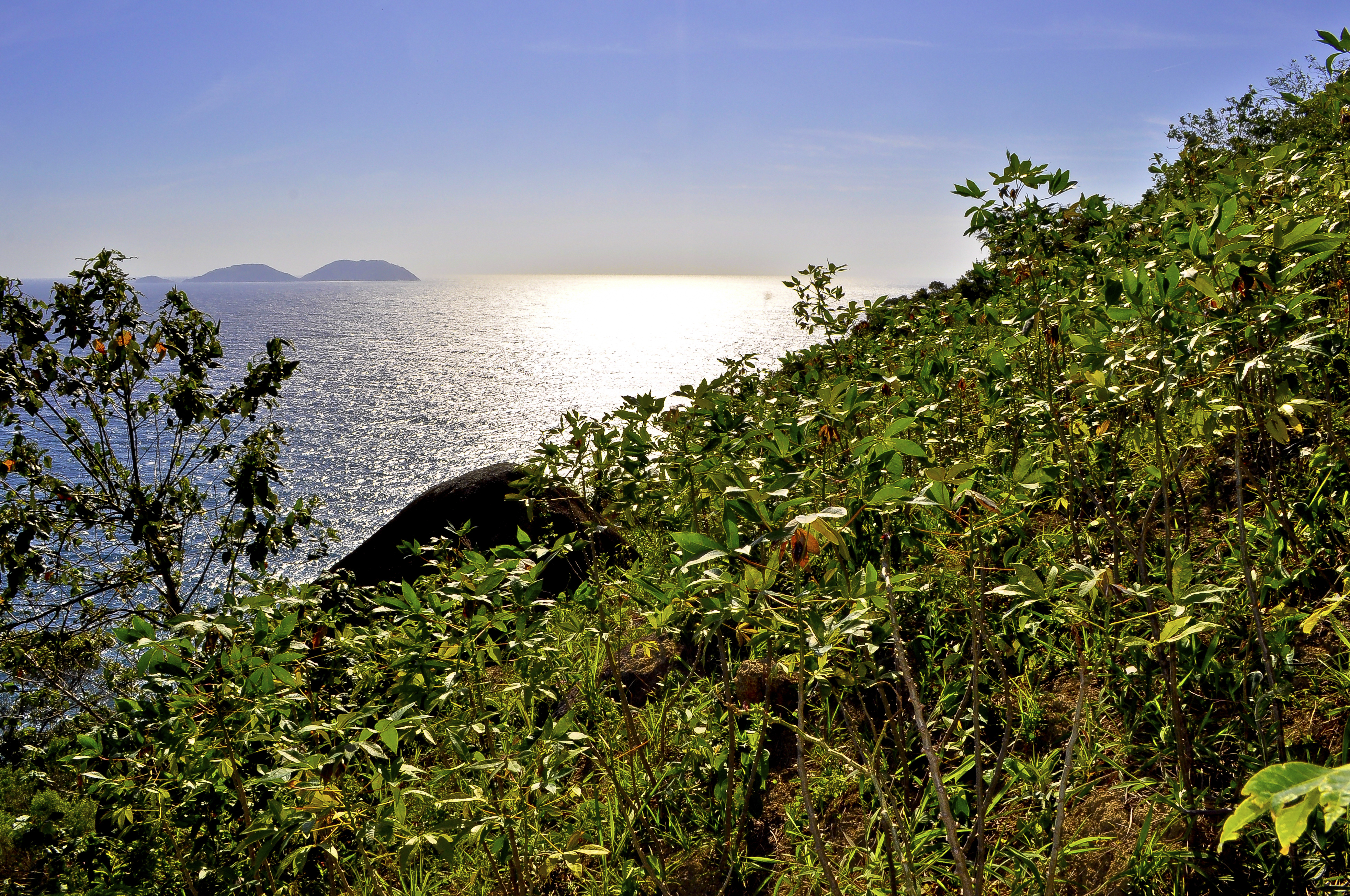 _DSC0204.jpg