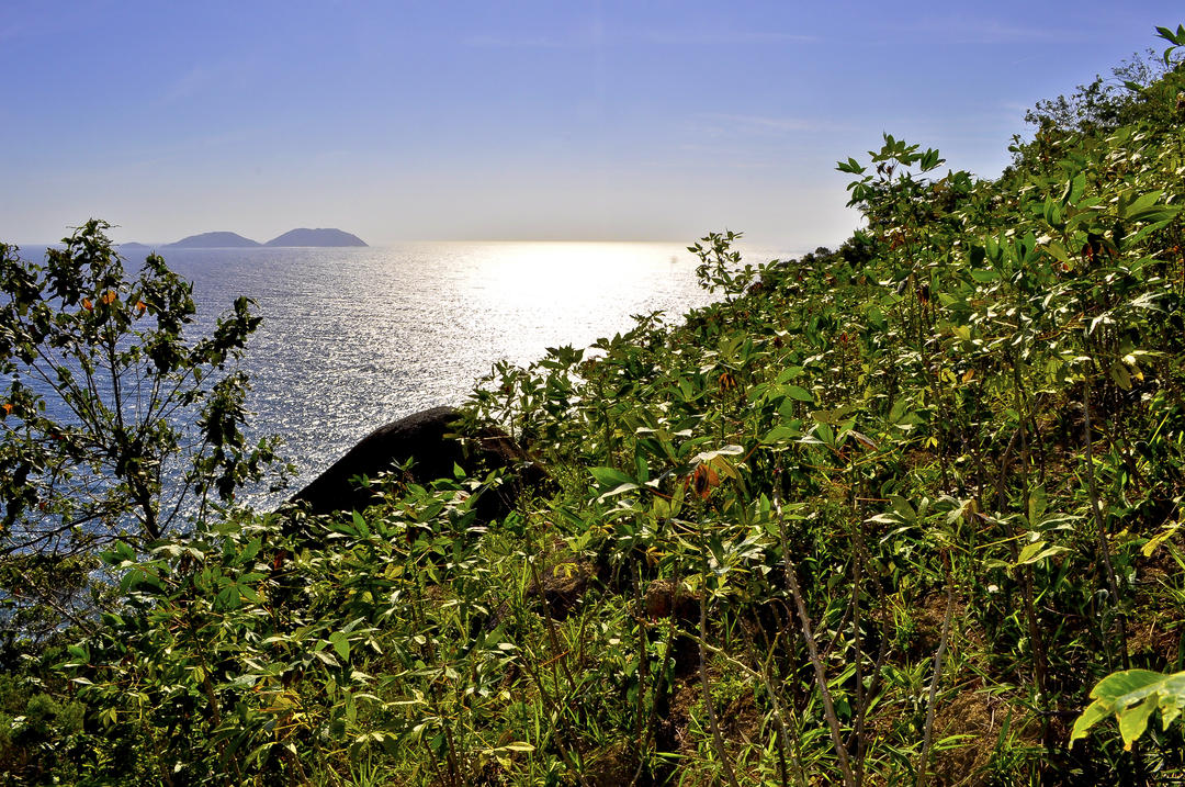 _DSC0204.jpg