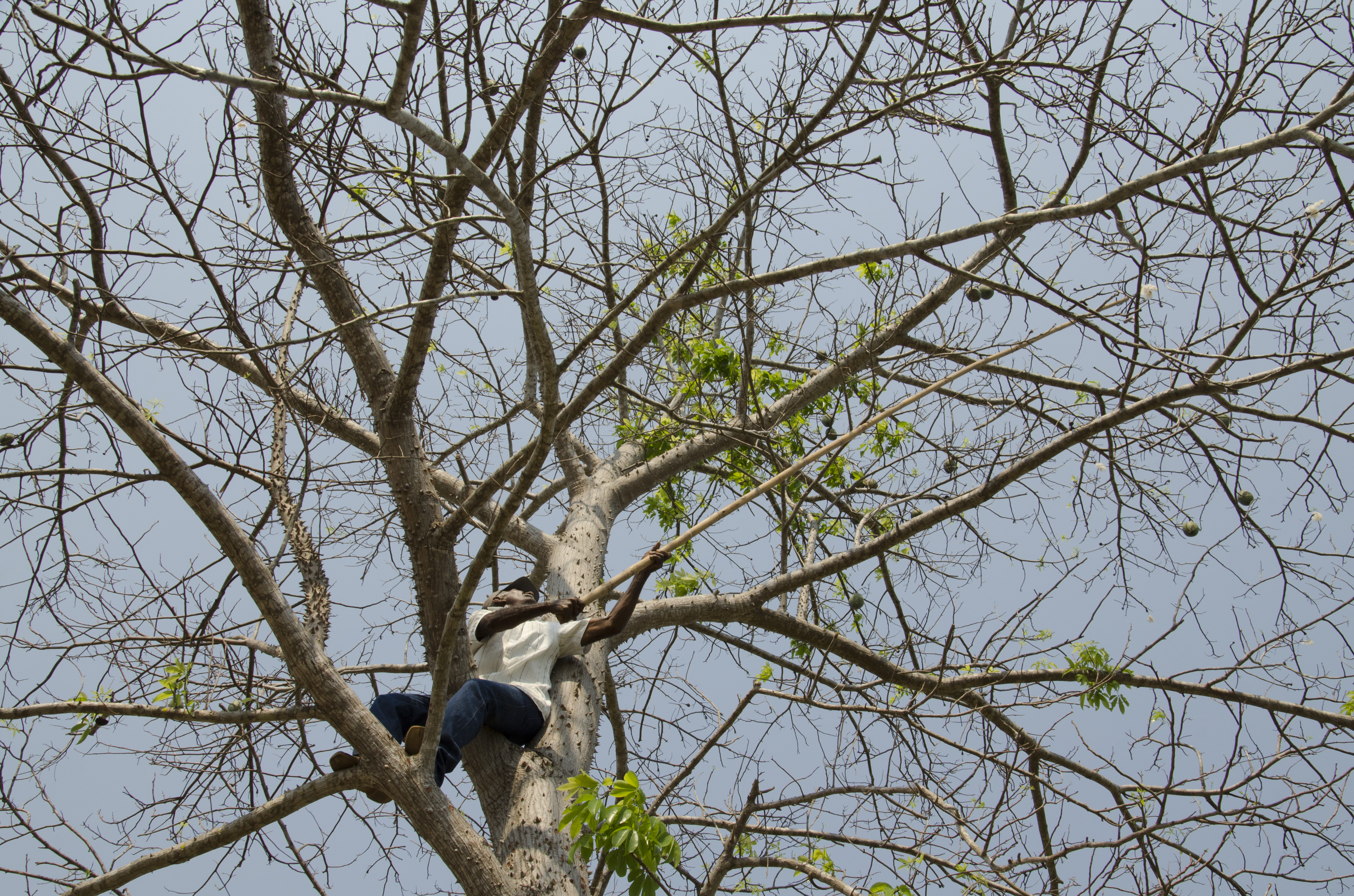 TUI_8806.jpg