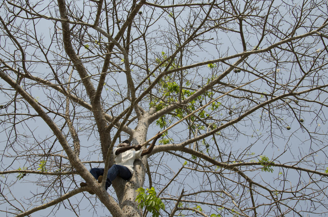 TUI_8806.jpg